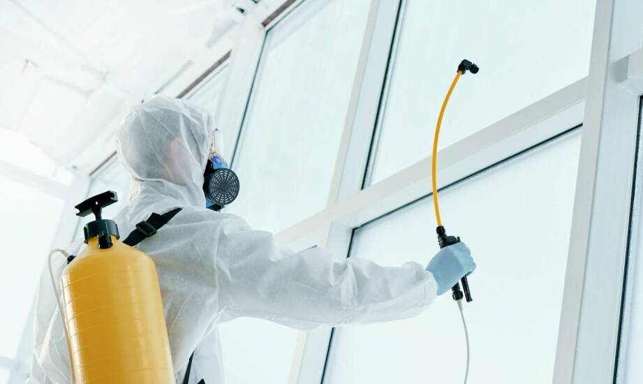 Jak deratyzacja wpływa na sanitarne bezpieczeństwo w firmach?