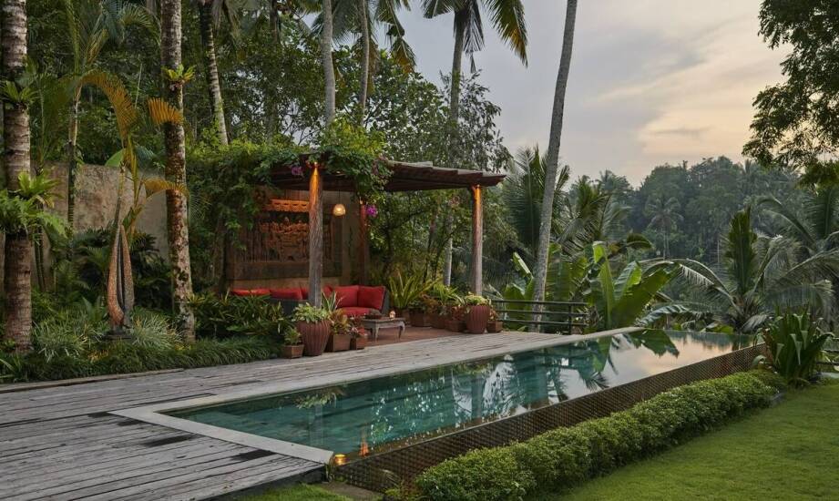 Jak wybrać idealną palmę do ogrodu, aby stworzyć oazę egzotyczną?