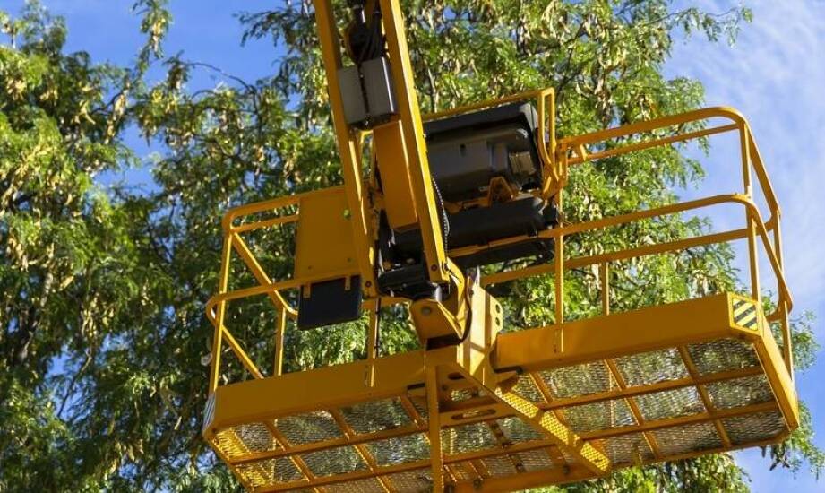 Wynajem maszyn do przesadzania drzew - kiedy warto skorzystać z tej usługi?