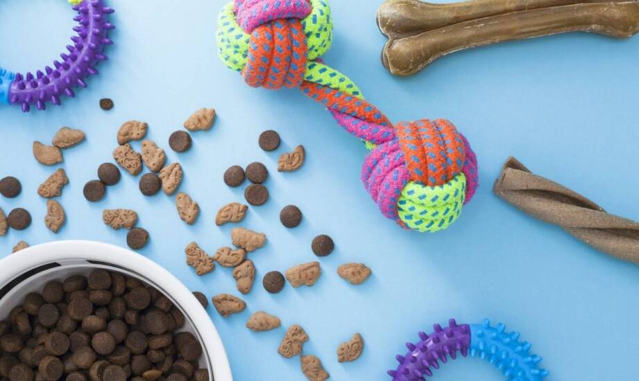 Dlaczego warto podawać zwierzętom przysmaki naturalne?