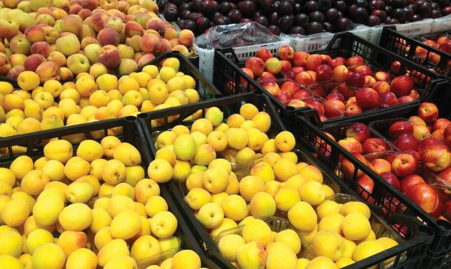 Jakie są główne korzyści z użytkowania transportowych koszy w transporcie artykułów spożywczych?