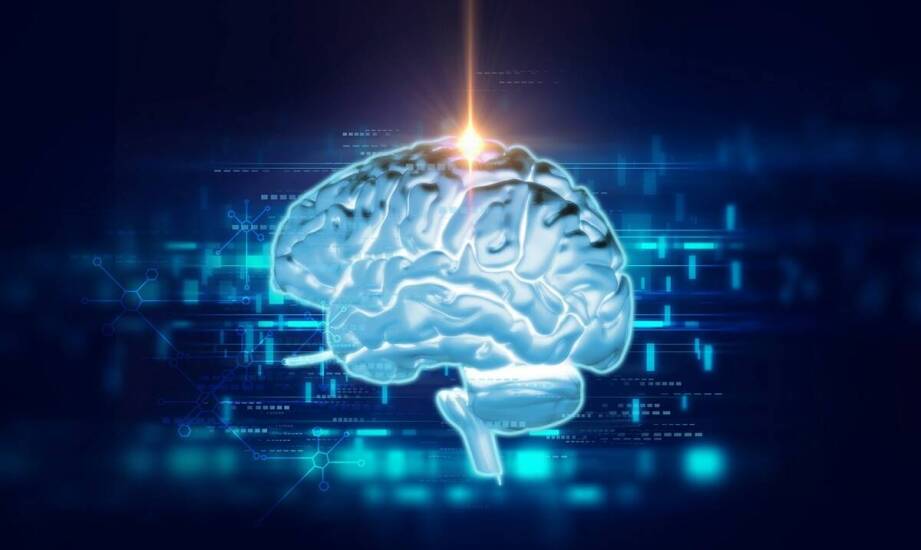 Znaczenie neurogenezy w procesie odzyskiwania funkcji czuciowo-ruchowych