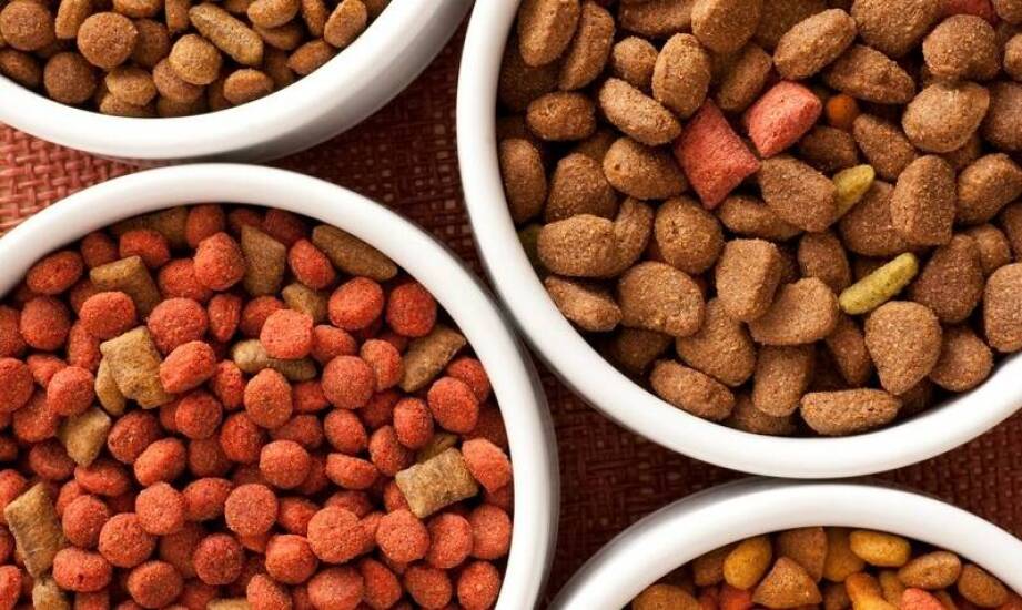 Zalety karmy Naturea w diecie kotów i psów: zdrowie i smak