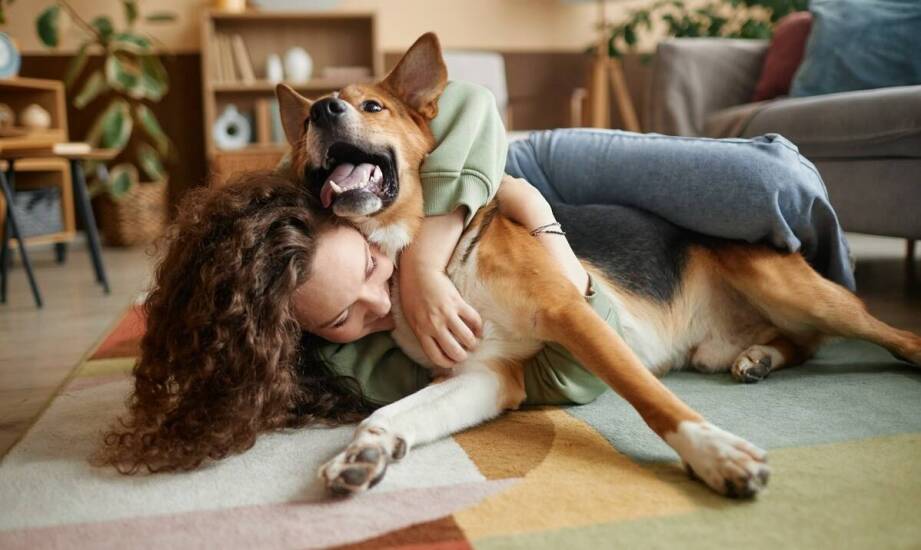 W jaki sposób hodowla monitoruje warunki bytowe niemieckich owczarków?