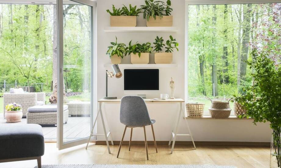 Kluczowe korzyści z ekologicznych środków do czystości w sprzątaniu biur