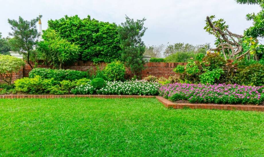 Czym różnią się mieszanki traw przeznaczone na miejsca nasłonecznione?