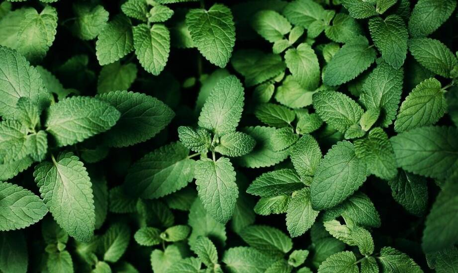 Damskie spodnie legginsy a moda ekologiczna – jak dokonywać świadomych wyborów?