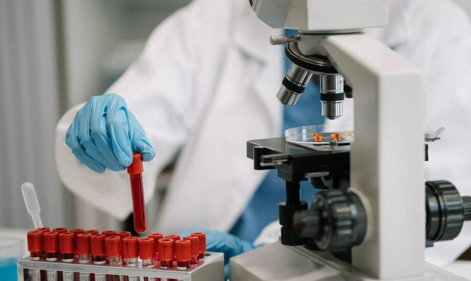 Diagnostyka w Jastrzębiu-Zdroju: Zalecenia dotyczące badań moczu