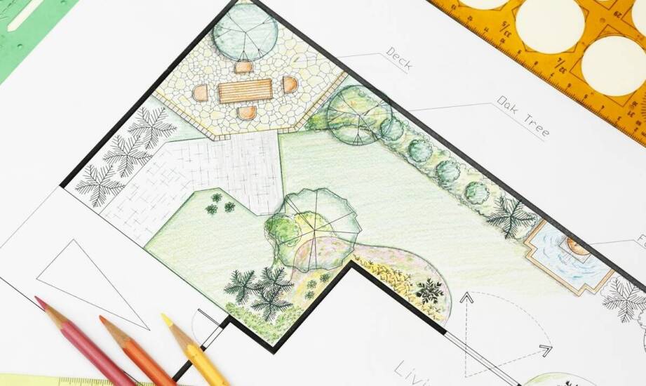 Proces uzyskiwania zezwoleń na wycinkę drzew: co warto wiedzieć