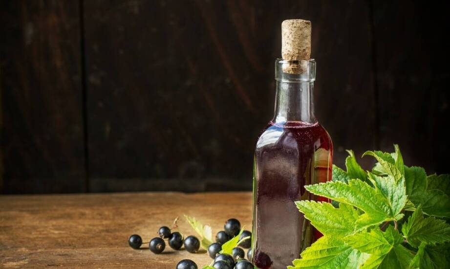 Karłowa morwa czarna – idealny wybór do małych ogrodów