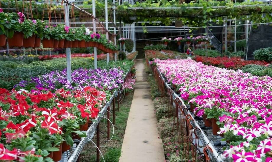 Jakie korzyści przynosi kontakt z naturą w niepublicznym żłobku?