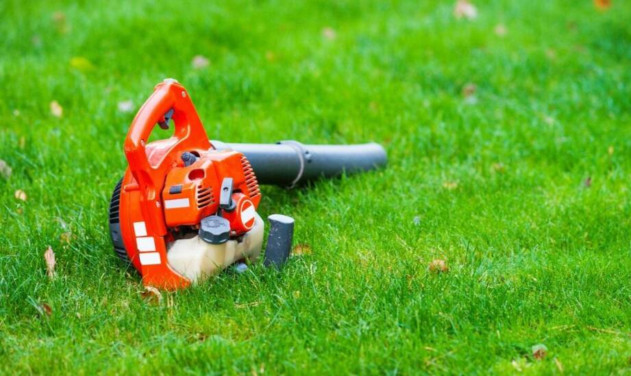 Utrzymanie zielonych terenów – jakie urządzenia do sprzątania wybrać?