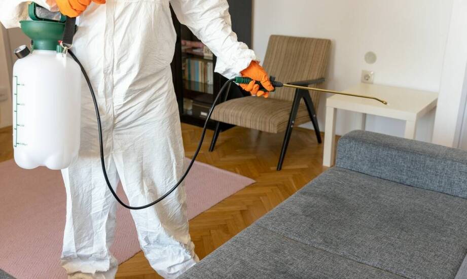 Jakie osobiste środki ochrony stosują specjaliści podczas zwalczania pluskiew?