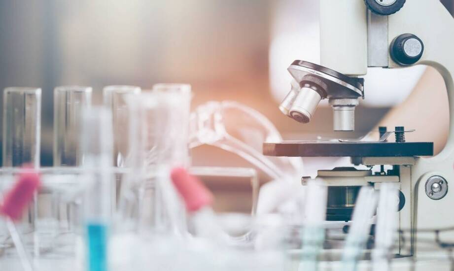 Jakie diagnostyczne badania są kluczowe dla wykrywania nowotworowych chorób?