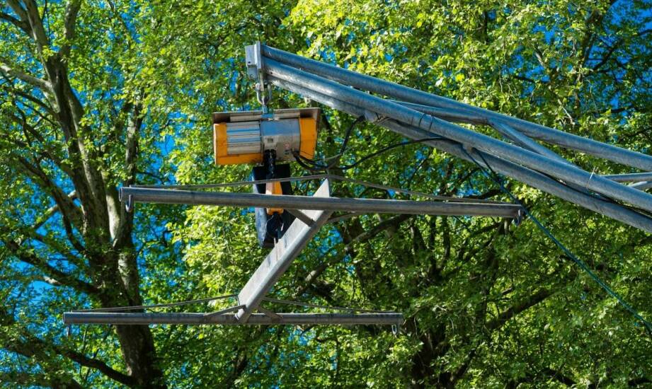 Nowoczesne technologie w przesadzaniu drzew – co warto wiedzieć?
