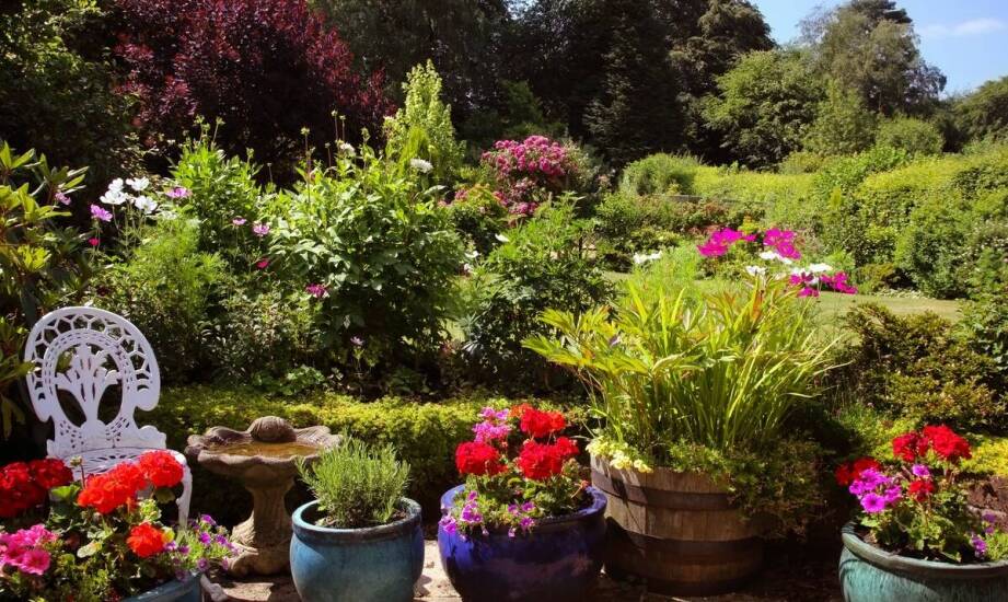 Wieloletnie ozdobne krzewy jako element przyciągający owady zapylające