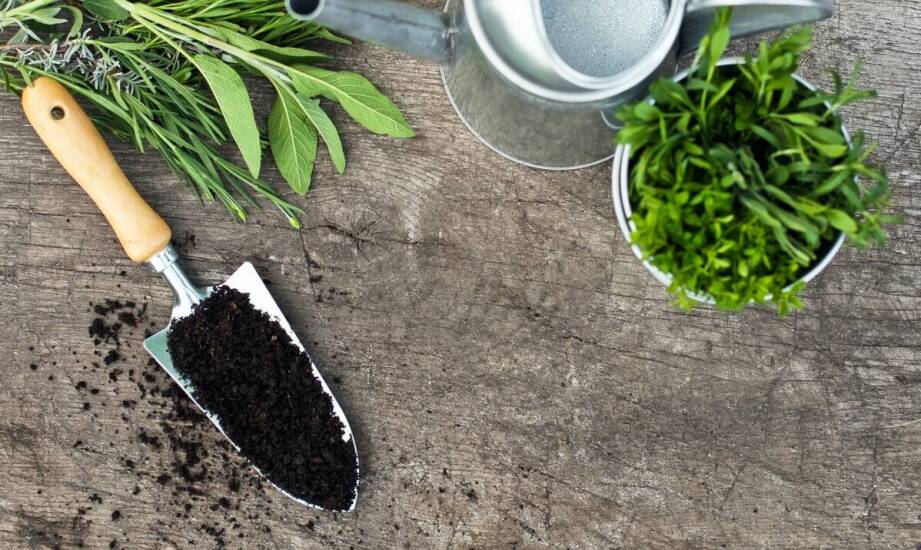 Jakie ogrodnicze akcesoria są niezbędne do pielęgnacji wąskolistnej lawendy?