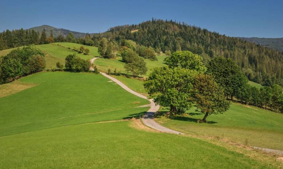 Jakie korzyści niesie zakup rekreacyjnej działki w okolicach Żywca?