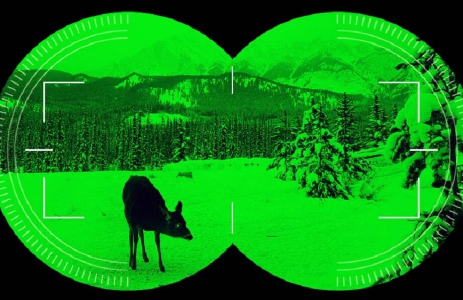 Sprzęt noktowizyjny: Jak poprawić widoczność w nocy?