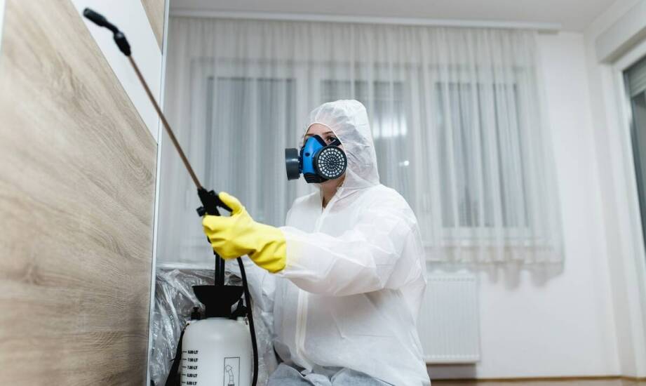 Dlaczego warto zainwestować w regularną deratyzację?