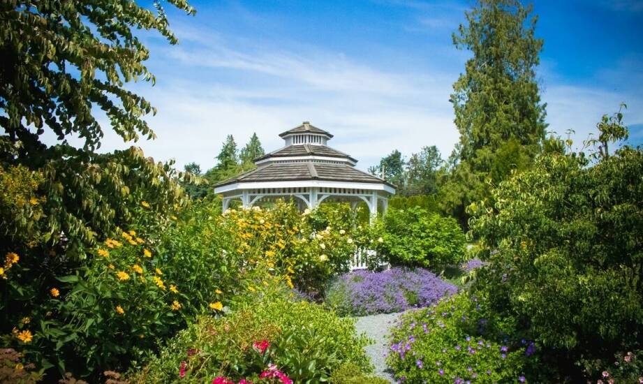 Jak prywatny dom seniora w Trójmieście wspiera fizyczną aktywność mieszkańców?