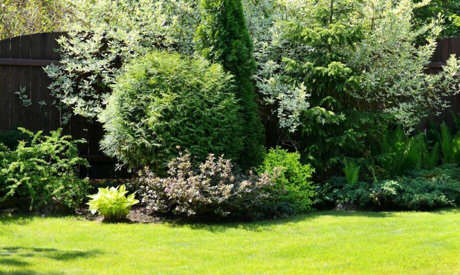 Rola biologicznych środków ochrony roślin w pielęgnacji trawnika w cieniu