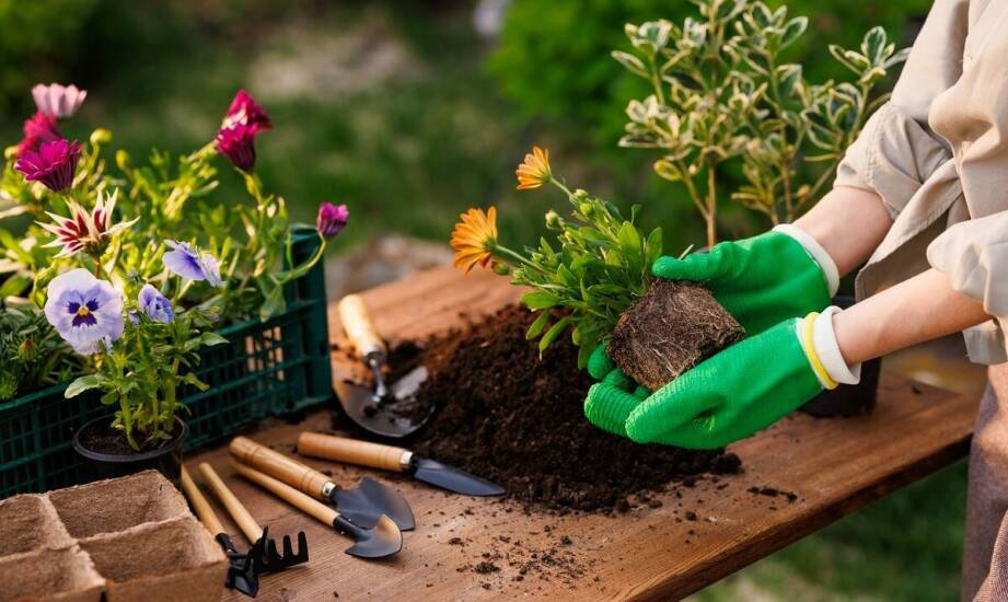 Przewodnik po wyborze dostępnych ogrodniczych narzędzi w naszej ofercie