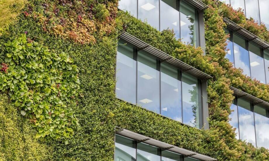 Projektowanie przemysłowych hal z uwzględnieniem zasad ekologii