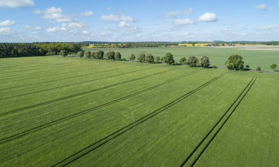 Jakie korzyści przynosi profesjonalna wycena rolnych gruntów?