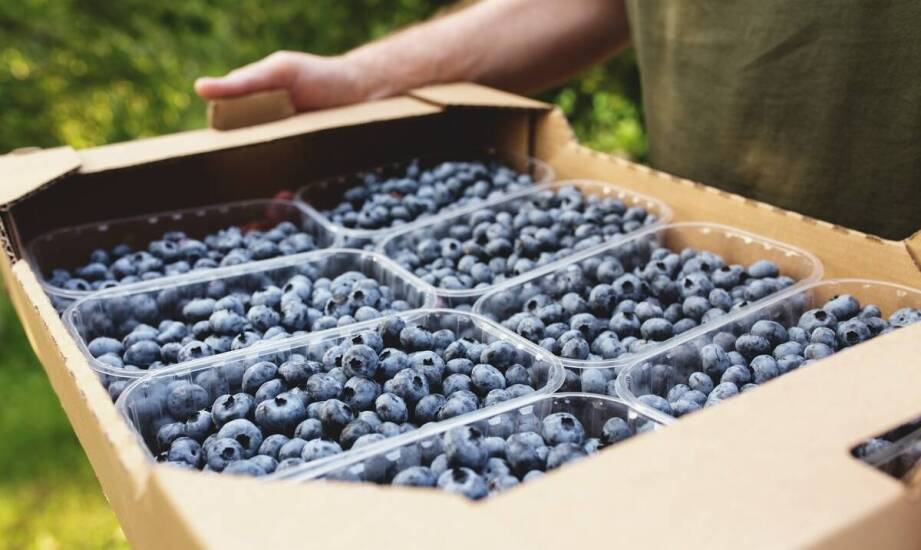 Gdzie kupić polskie superowoce o jakości premium?