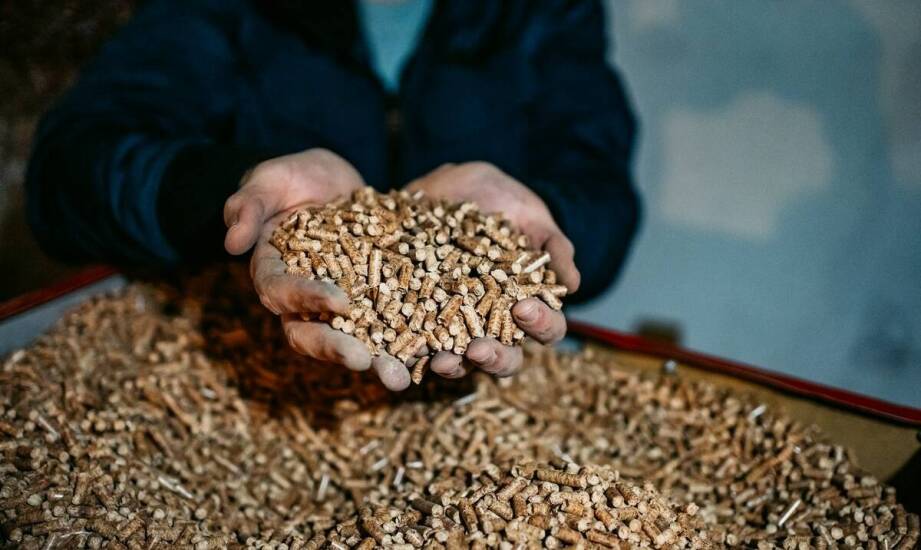 Jakie są kluczowe właściwości drzewnych palet oferowanych jako pellet?