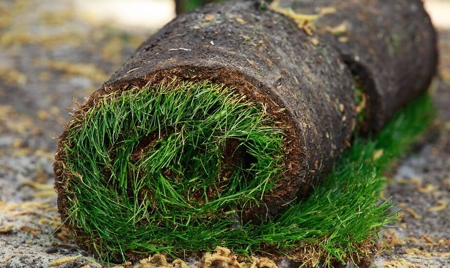 Odcinana od gruntu trawa jako wsparcie dla projektów ekologicznych