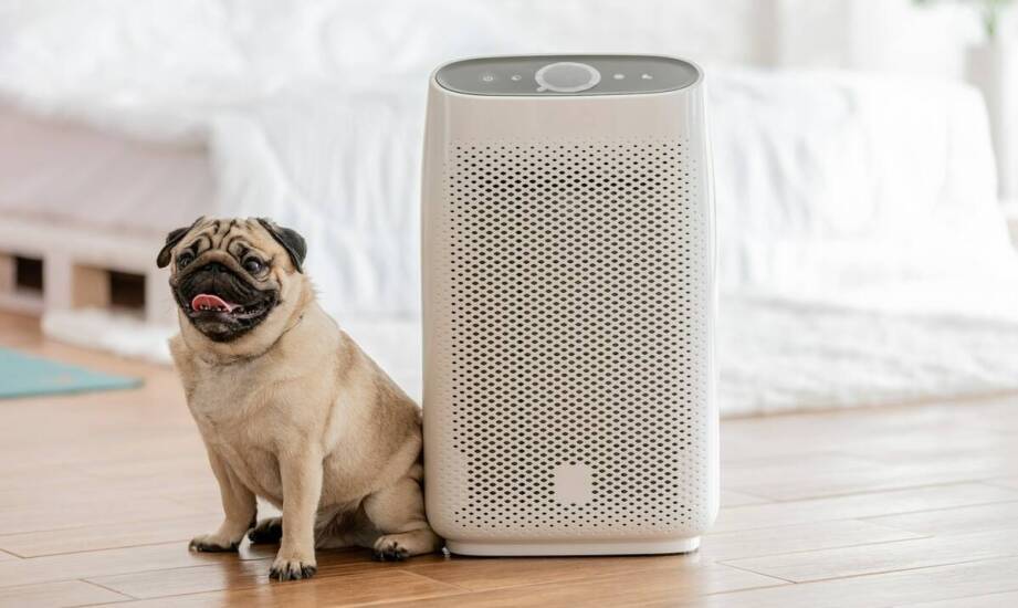 Oczyszczacze powietrza jako wsparcie dla alergików w zaciszu domowym