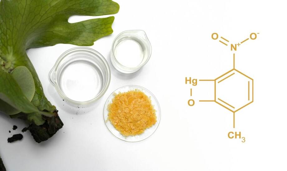 Praktyczne aspekty stosowania wlewów z kurkuminy w terapii nowotworowej