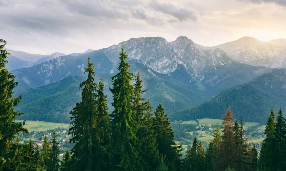 Domki w Zakopanem z możliwością przyjazdu z pupilem: wakacje ze zwierzakiem