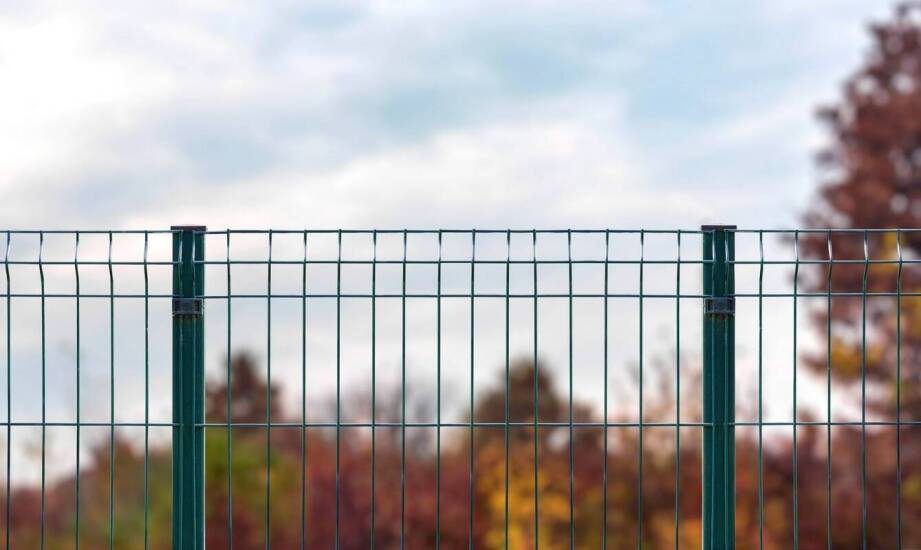 Panele ogrodzeniowe a ochrona przed drapieżnikami – jak zwiększyć bezpieczeństwo dla stada?