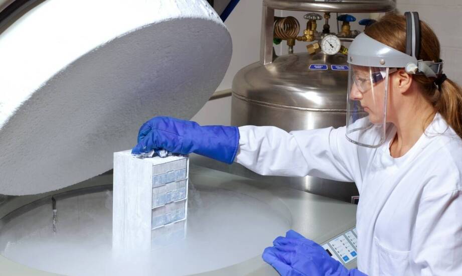 Proces dystrybucji ciekłego azotu: od zamówienia do dostawy door-to-door