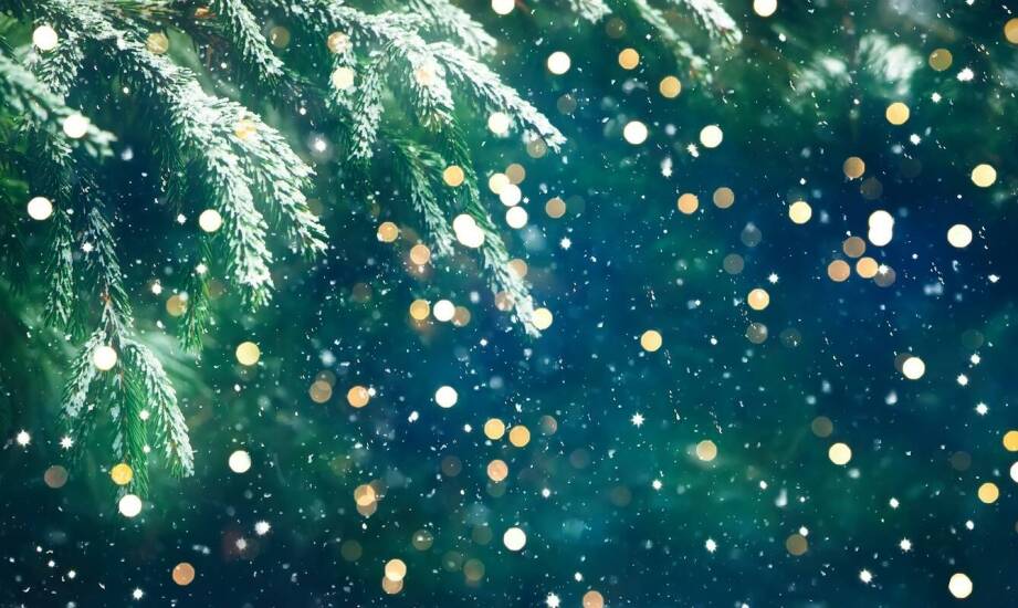 Jak przygotować wysokie zewnętrzne donice na zimowe miesiące?