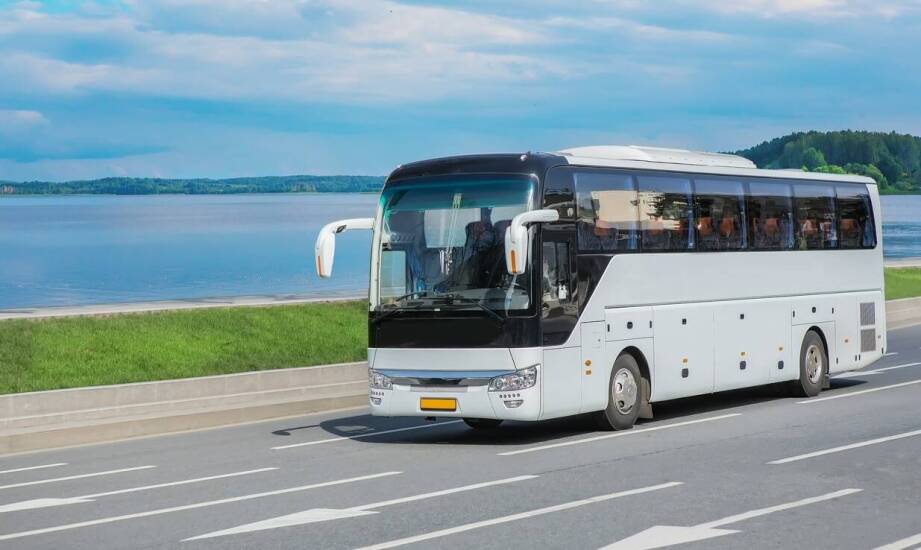 Dlaczego wynajem busa z kierowcą to doskonały wybór dla szkolnych grup?