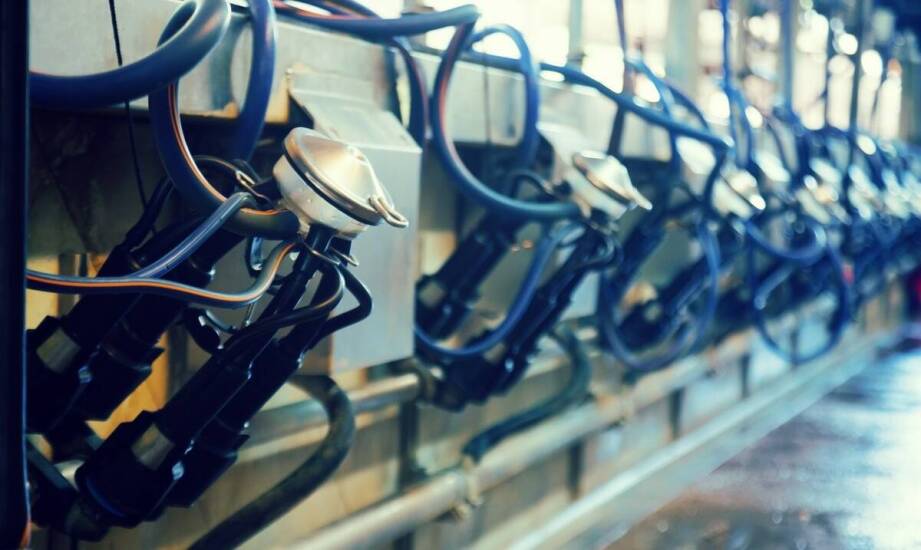 Jakie są najnowsze trendy w projektowaniu czochradeł dla krów?