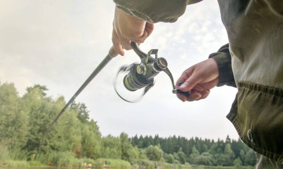 Dlaczego warto inwestować w wysokiej jakości zestaw feeder z koszyczkiem?