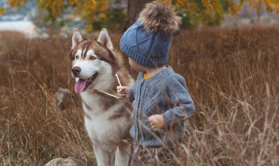 Przewodnik po najmodniejszych kurtkach chłopięcych na sezon zimowy