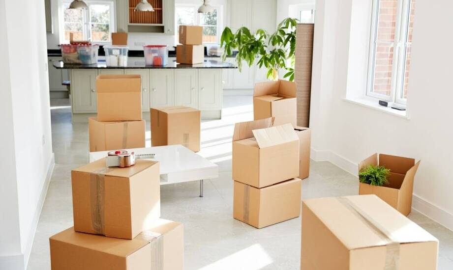 Jak zaplanować przeprowadzki do Holandii, aby uniknąć stresu?