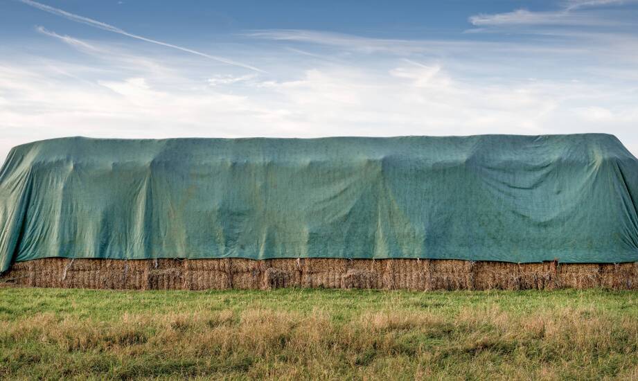 Techniczne aspekty produkcji szpilek do agrowłókniny – co wyróżnia je?