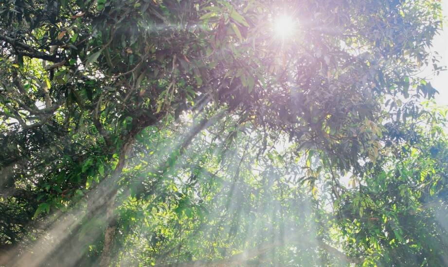 Dlaczego warto rozważyć detoksykację przed rozpoczęciem terapii dla hazardu?