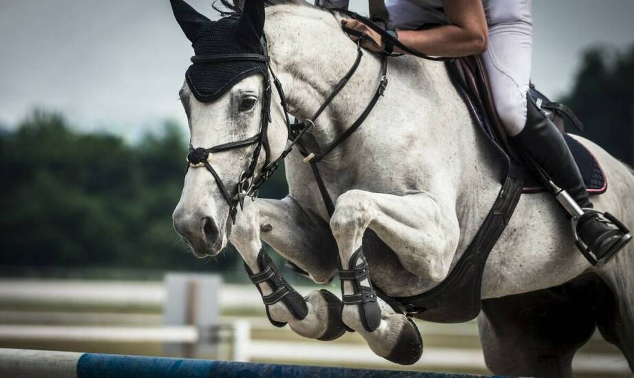 Dlaczego hala B to miejsce, które musisz odwiedzić?