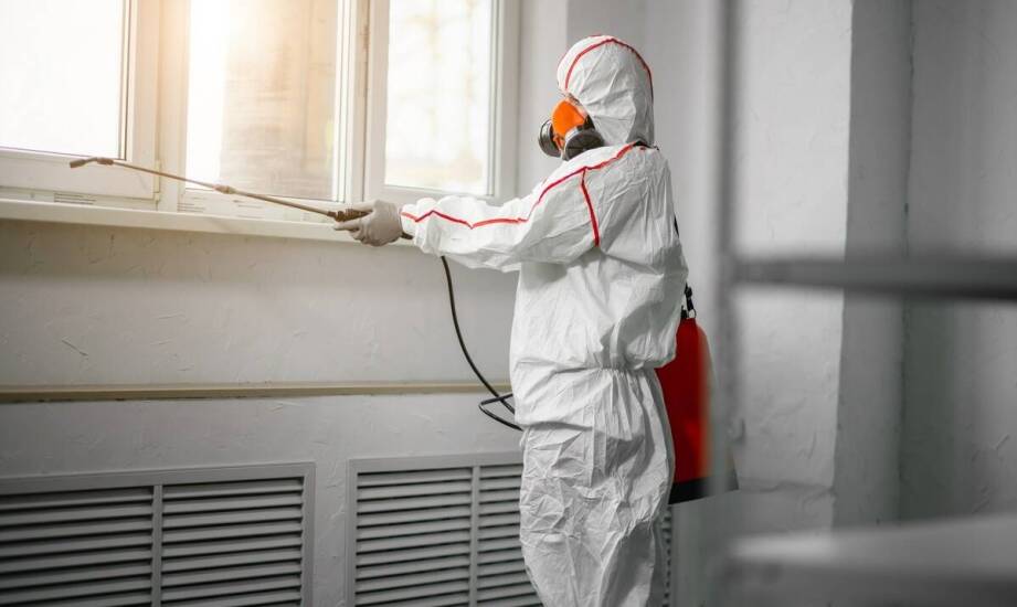 Rola deratyzacji w ochronie zabytkowych obiektów przed szkodnikami