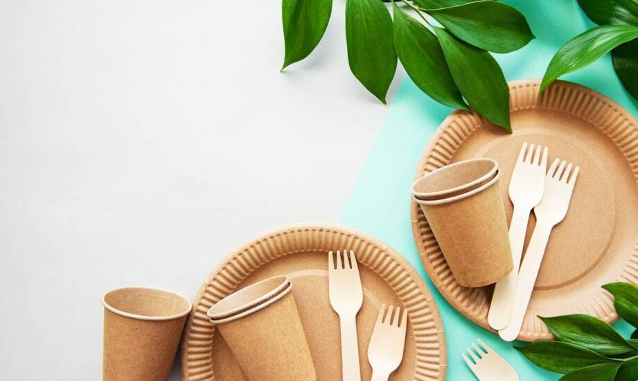 Czym wyróżniają się biodegradowalne kubki na tle tradycyjnych produktów?