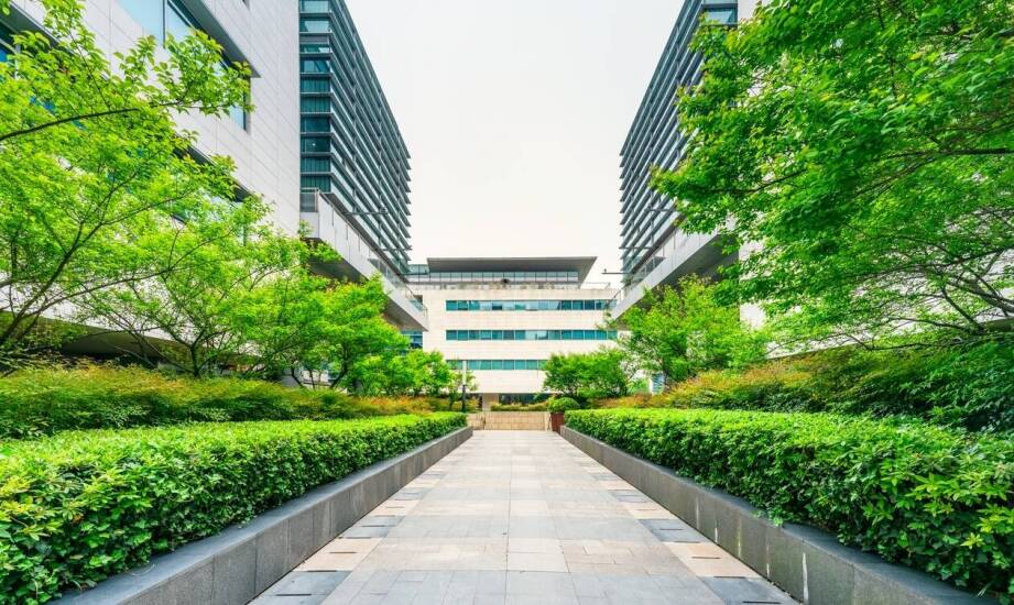 Jak akustyczne analizy wspierają rozwój zrównoważonych miast?