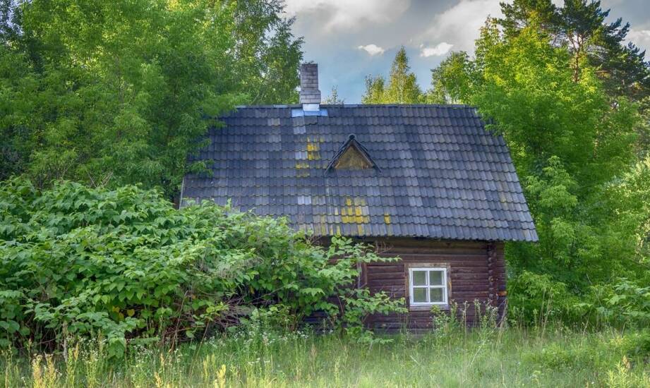 Jak wybrać najlepsze wakacyjne zakwaterowanie na Kaszubach?